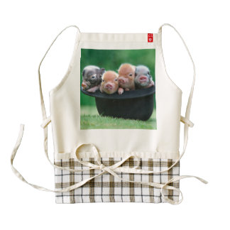 Three little pigs - three pigs - pig hat zazzle HEART apron