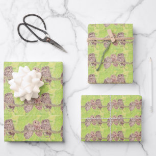 Three Little Scowling Owls - acrylic painting. Wrapping Paper Sheets