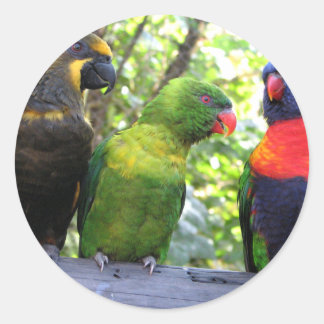 Three Lorikeets Classic Round Sticker