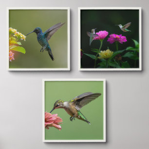 Three Lovely Hummingbird Peel And Stick Photo Tile