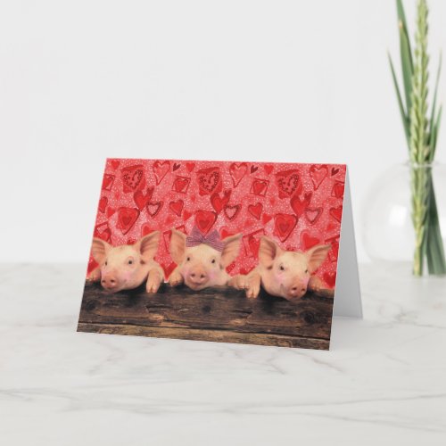 Three lovely valentine pigs holiday card