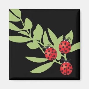 Three Lucky Ladybugs Magnet