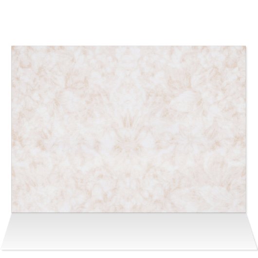 Three Maine Coon Cats (Inside Horizontal (Top))