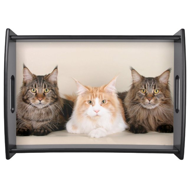 Three Maine Coon Cats Serving Tray (Front)