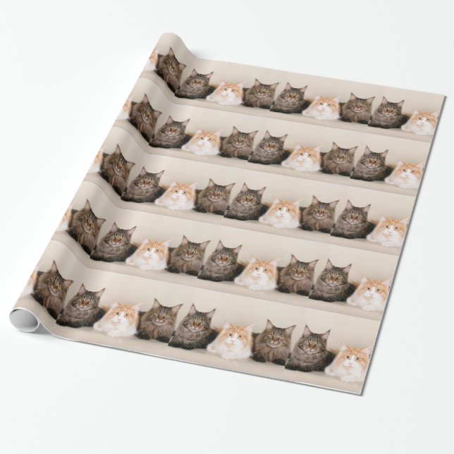 Three Maine Coon Cats Wrapping Paper (Unrolled)