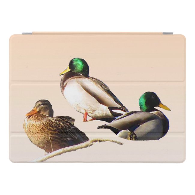 Three Mallard Ducks 10.5 iPad Pro Case