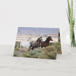 Three Mares Running Wild Horse Greeting Card