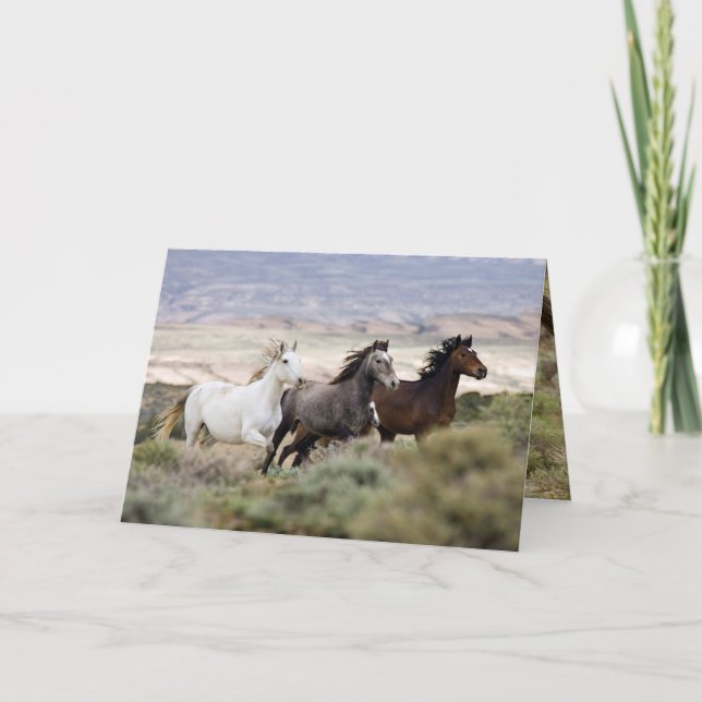 Three Mares Running Wild Horse Greeting Card (Front)