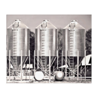 Three Metal Silos in Black and White Acrylic Print