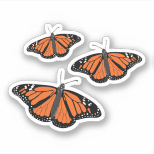 Three Monarch Butterfly Sticker