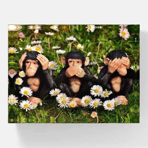 Three Monkeys Paperweight