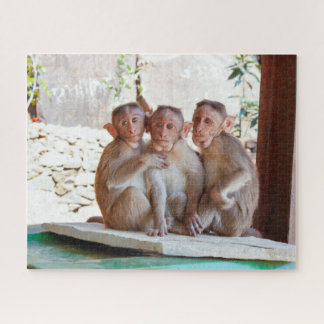 Three Monkeys Together Wildlife Jigsaw Puzzle
