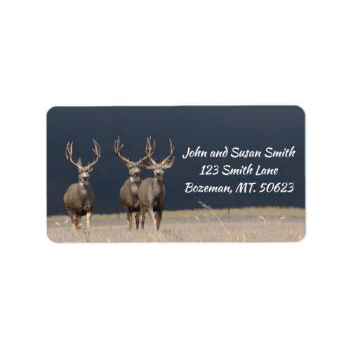 Three Mule Deer Bucks Address Label