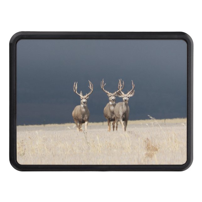Three Mule Deer Bucks Hitch Cover (Front)