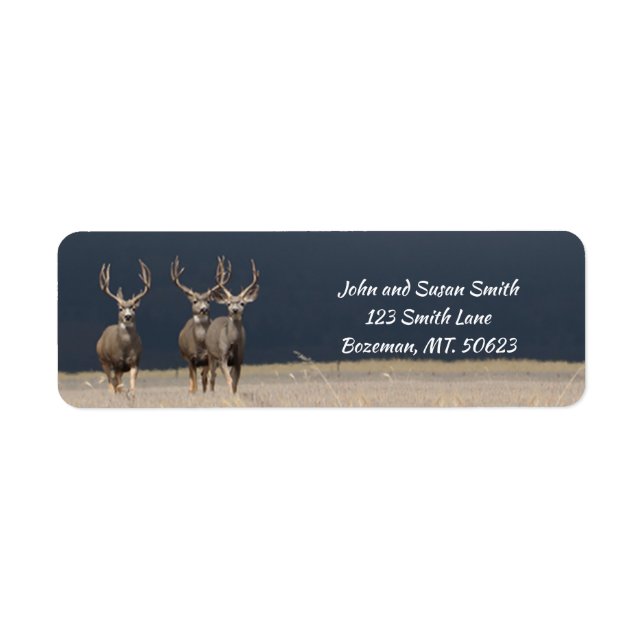 Three Mule Deer Bucks Return Address Label (Front)