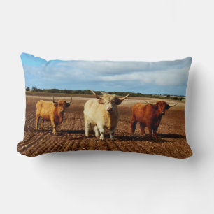 Three Naughty Highland Cows, Lumbar Pillow