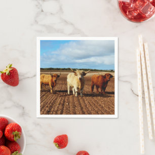 Three Naughty Highland Cows, Paper Napkins