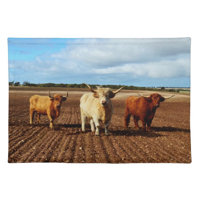 Three Naughty Highland Cows, Placemat (Front)