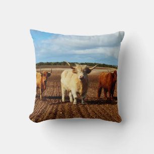 Three Naughty Highland Cows, Throw Pillow