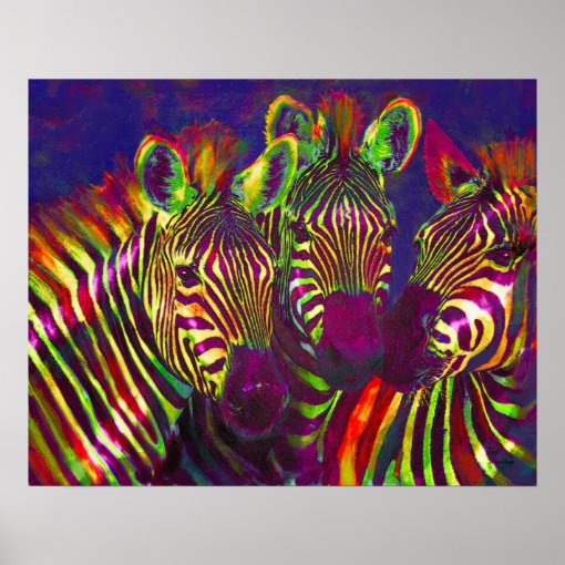 three neon zebras poster Zazzle