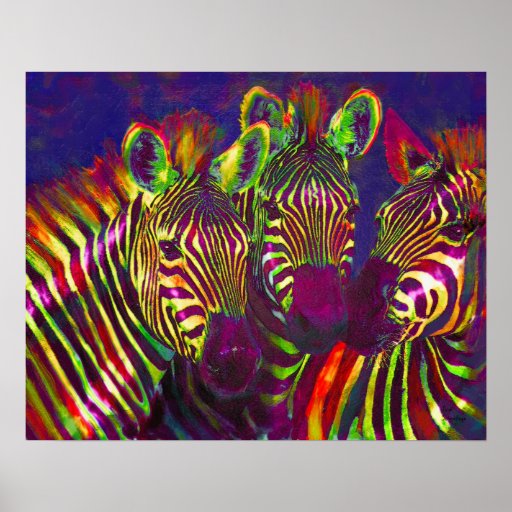 three neon zebras poster | Zazzle