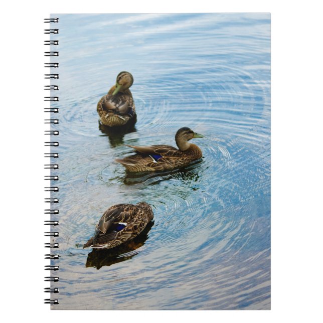 Three  Notebook (Front)