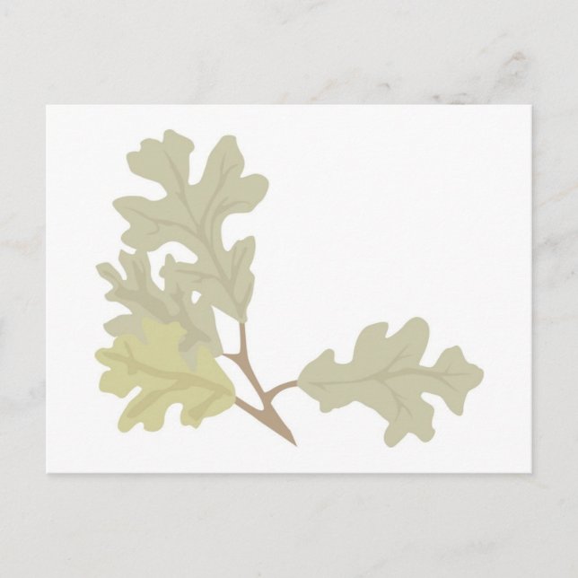 Three Oak Leaves Fall Wedding Autumn Weddings Postcard (Front)