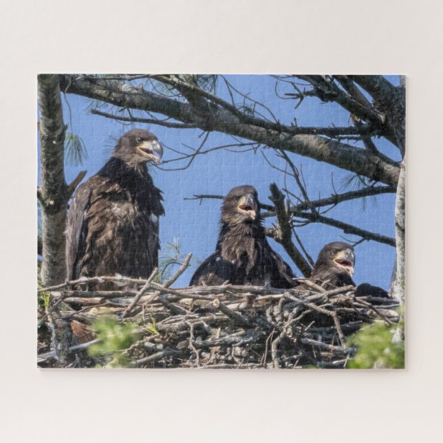 Three Of A Kind  Jigsaw Puzzle (Horizontal)