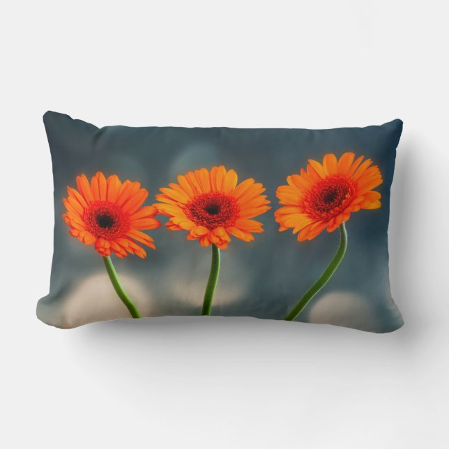 Three Orange Gerberas in a Row Lumbar Cushion (Front)