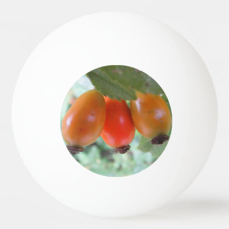 Three orange rosehips ping pong ball