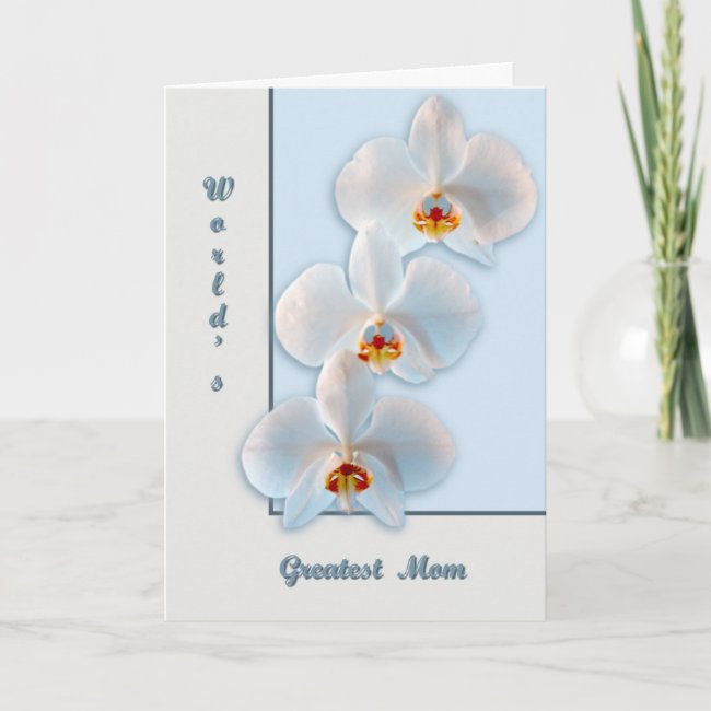 Three orchids card