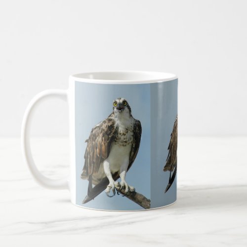 Three Osprey hawk images Coffee Mug