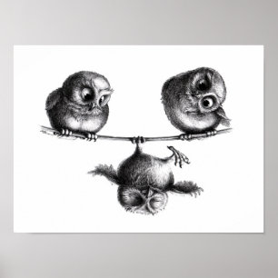 Three Owls - Freedom and Fun Poster