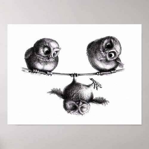 Three Owls _ Freedom and Fun Poster