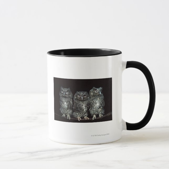 three owls mug (Right)