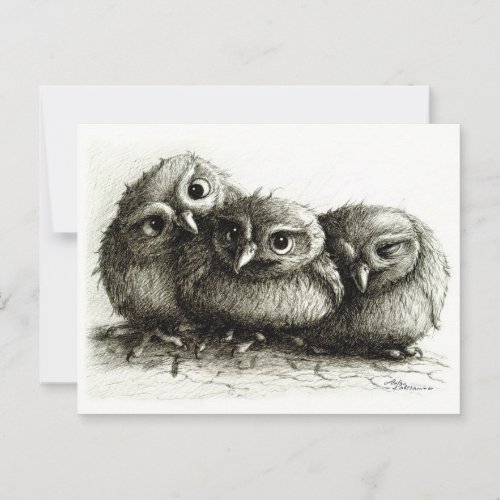 Three Owls _ Young and Cute Postcard
