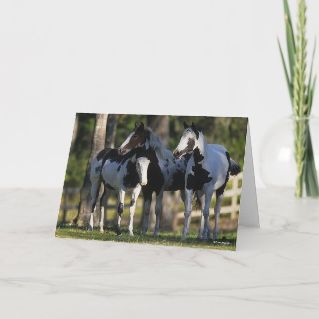 Three Paint Horses Standing Together Card (Front)