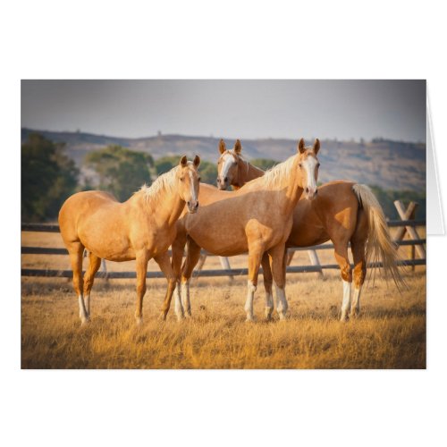 Three Palomino Ponies