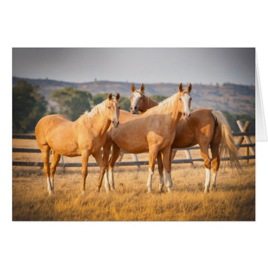 Three Palomino Ponies Cards (Front Horizontal)
