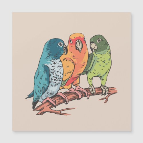 Three parrots illustration design