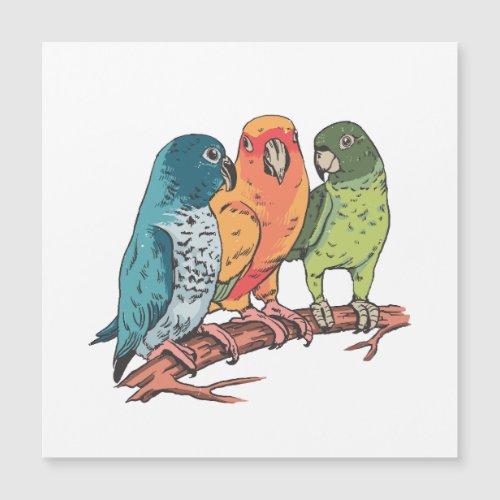 Three parrots illustration design