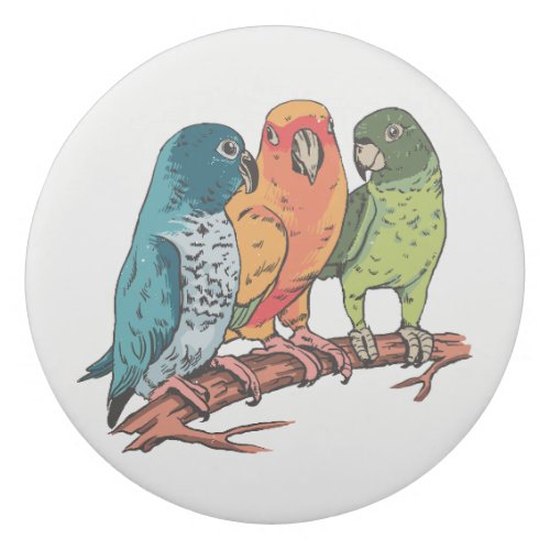 Three parrots illustration design eraser