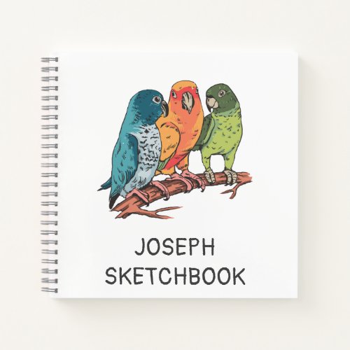 Three parrots illustration design notebook