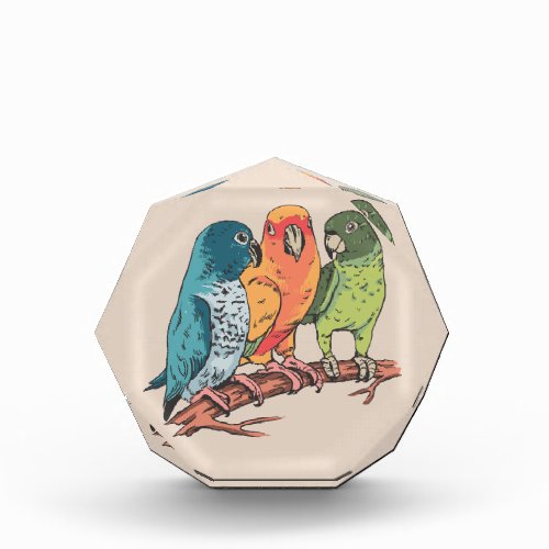 Three parrots illustration design photo block