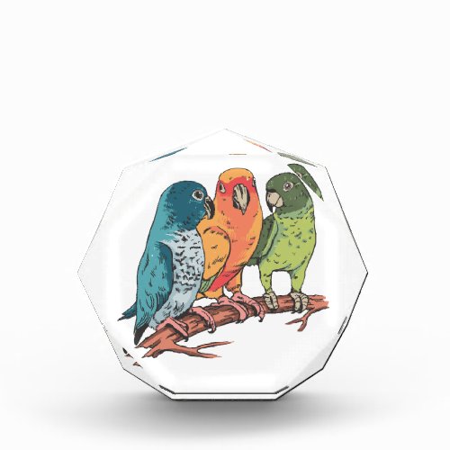 Three parrots illustration design photo block