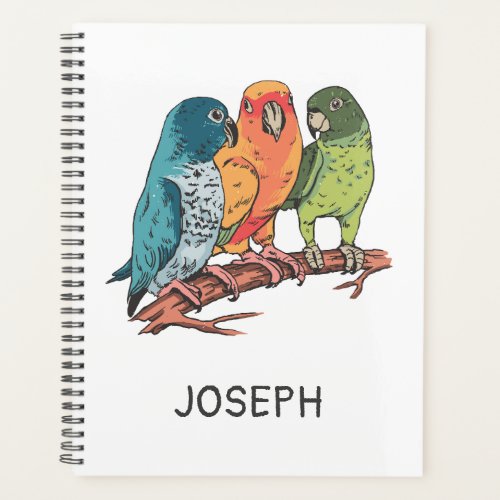 Three parrots illustration design planner