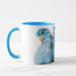 Three Parrots Pacific Blue Parrotlet Mug Cup Art at Zazzle