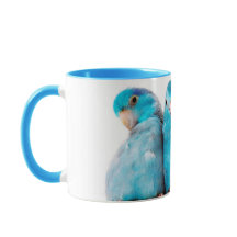 Three Parrots Pacific Blue Parrotlet Mug Cup Art