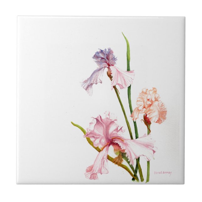  Three Pastel Irises CERAMIC TILE (Front)