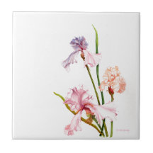 Three Pastel Irises CERAMIC TILE